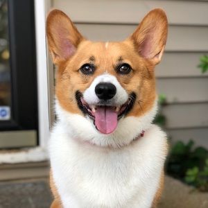 Meet your Posher, Madeline